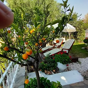 Ferienhaus Nikos Stone House 80m From The With Wifi, Gerakini